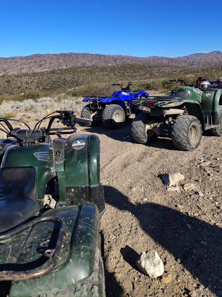 whatsapp image 2025 09 12 at 10.02.15 am (4)