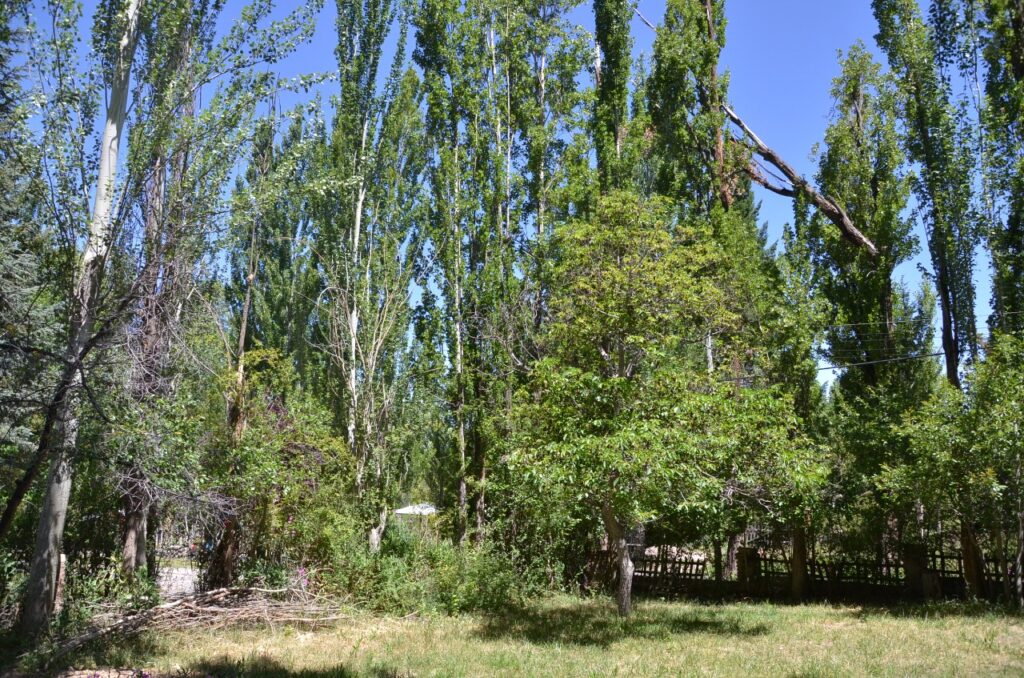 Casa de Fin de Semana en Potrerillos | Ríos Libres Cocina equipada en casa de vacaciones Potrerillos